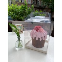 Коробка акваріум для тортів, пасок та інших десертів, 160*160*200