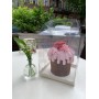 Коробка акваріум для тортів, пасок та інших десертів, 160*160*200