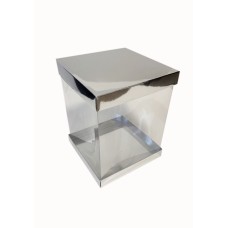 Коробка "Панорама" срібло, 200*200*250