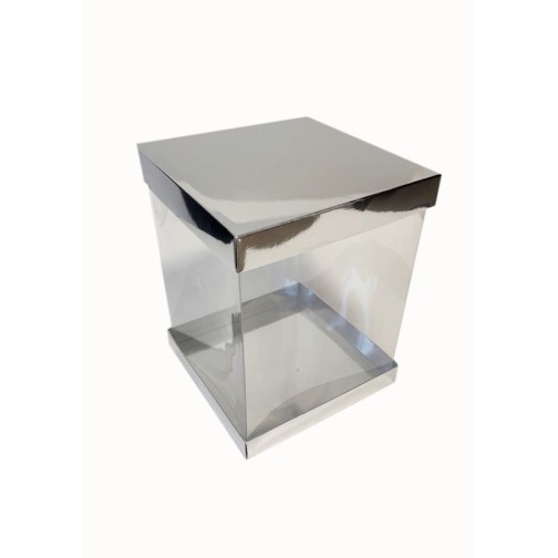 Коробка "Панорама" срібло, 200*200*250