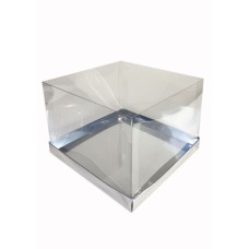 Коробка "Акваріум" срібло, 170*170*120мм